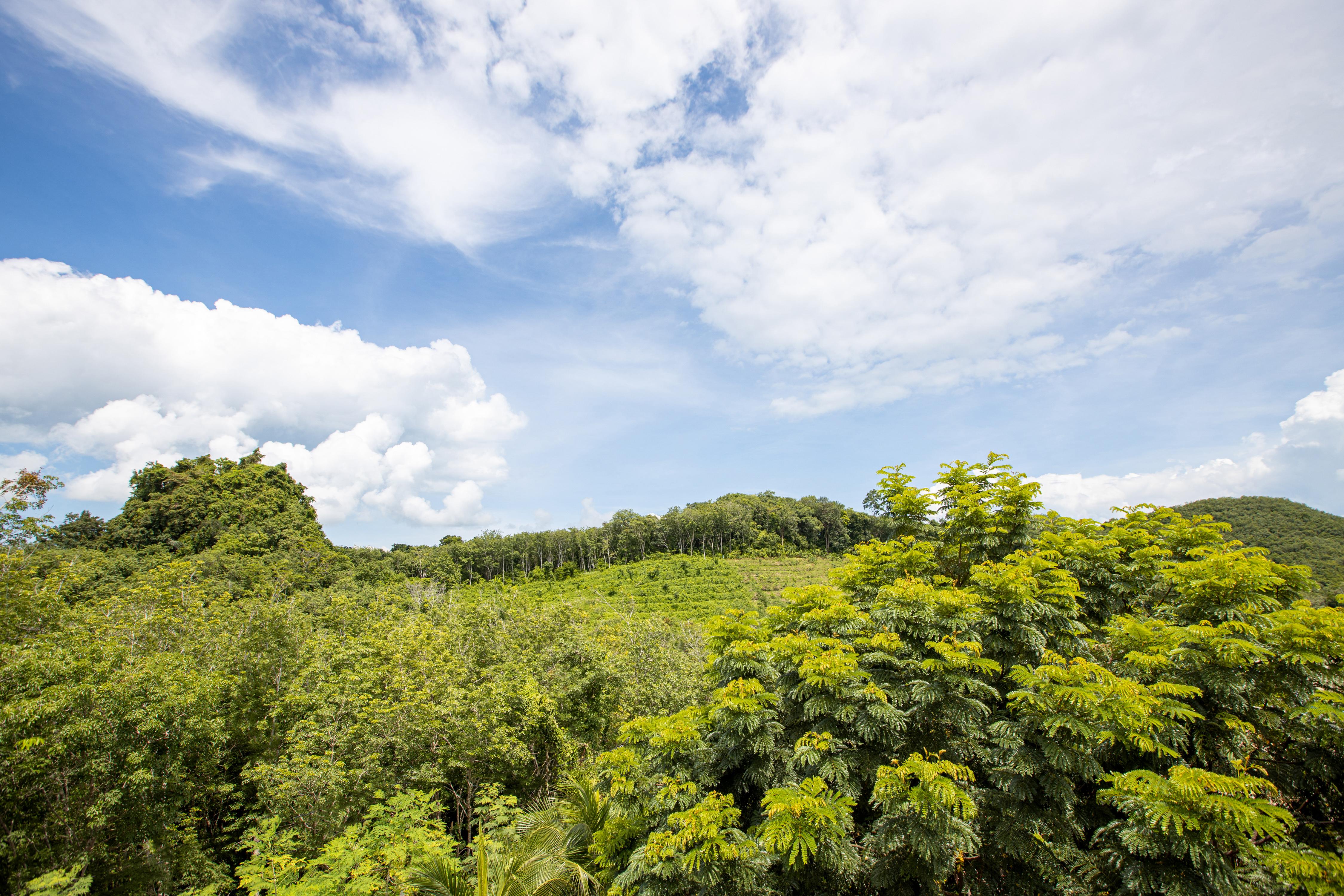 Samsam Yao Noi - Andaman Magic & Art Villas ヤオノイ島 エクステリア 写真